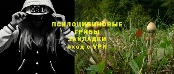Альфа ПВП Кулебаки
