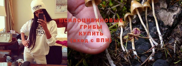 МДПВ Куйбышев