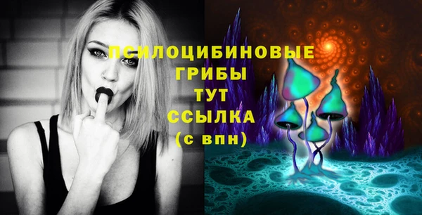 МДПВ Куйбышев