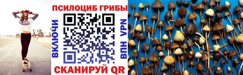 Купить закладки  Сураж  Галлюциногенные грибы прущие грибы 