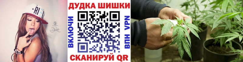 Купить  Сураж  Бошки Шишки гибрид 